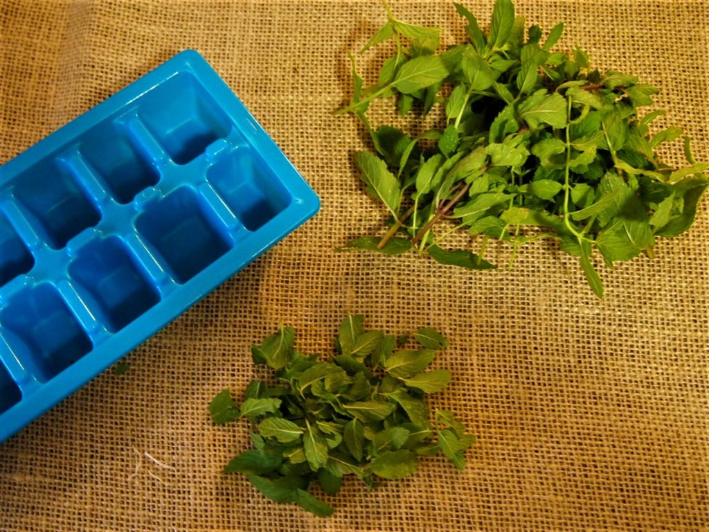 Freezing fresh mint