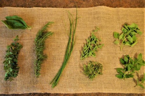 An Abundance of Herbs