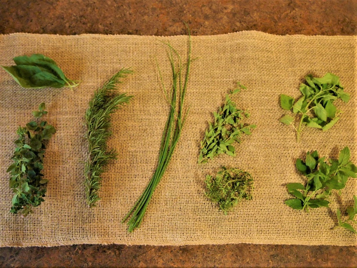 Have you grown an over abundance of herbs? Chop, mix and freeze