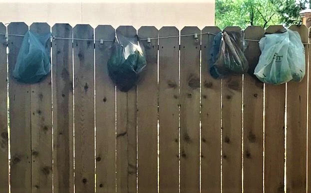 An Abundance of Herbs - Gifted herbs in bags hanging from fence