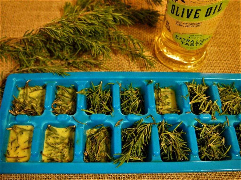 Rosemary ready to be frozen in olive oil