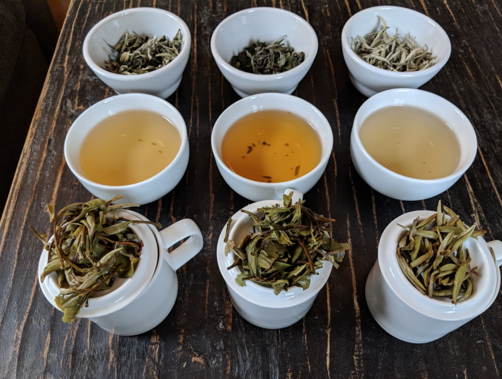 Teas lined up for tasting with Suzette Hammond while attending a virtual tea festival